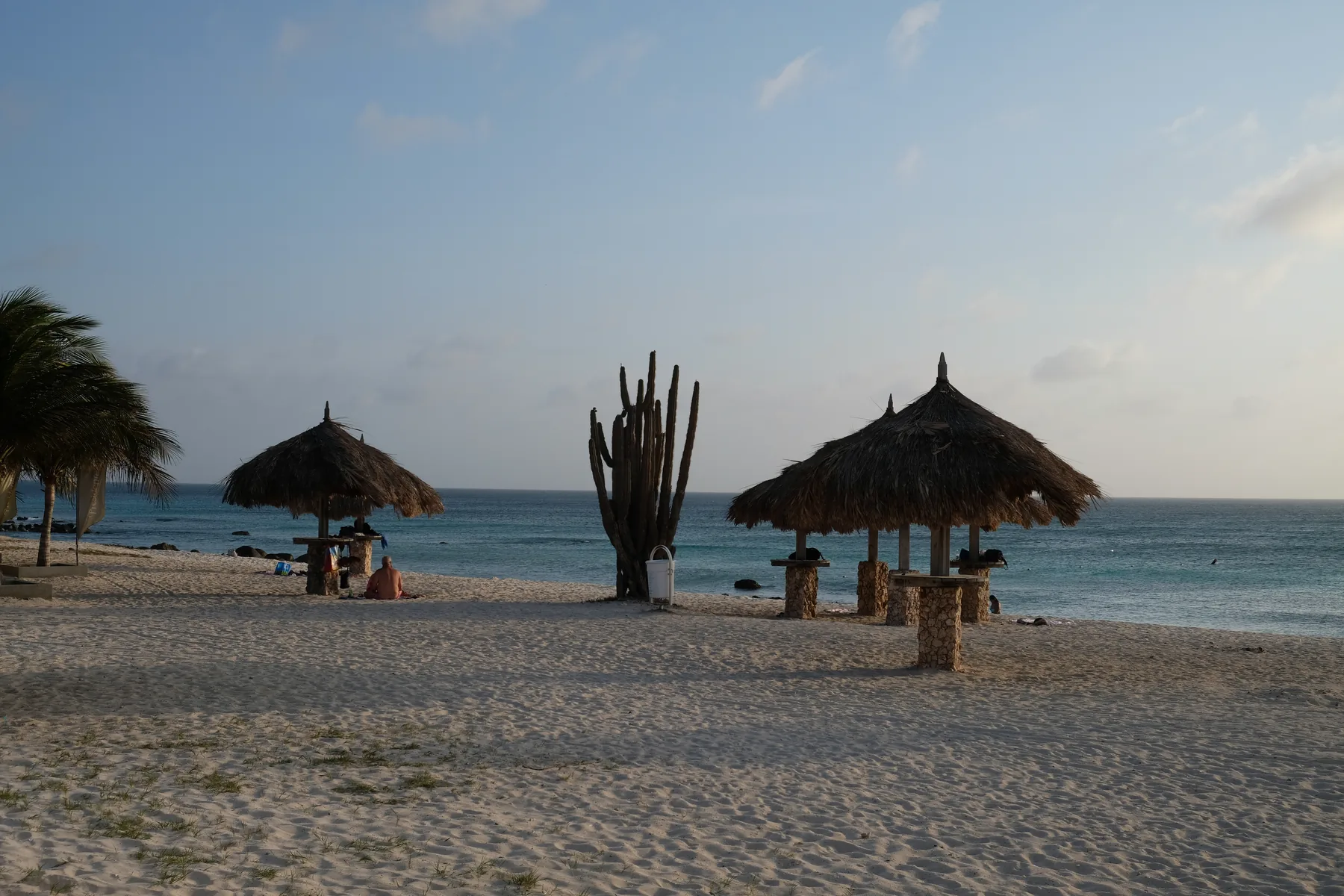 Palapas and cacti beside the sea at Arashi Beach, Aruba.
