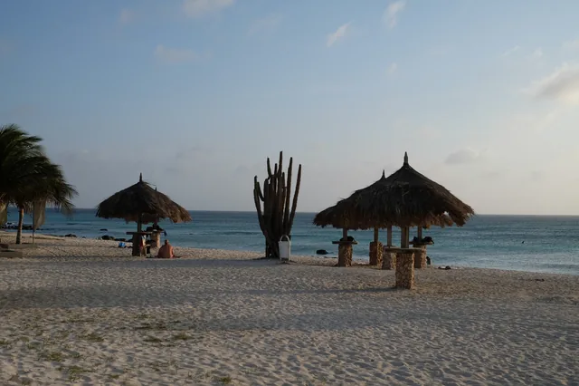 Palapas and cacti beside the sea at Arashi Beach, Aruba.