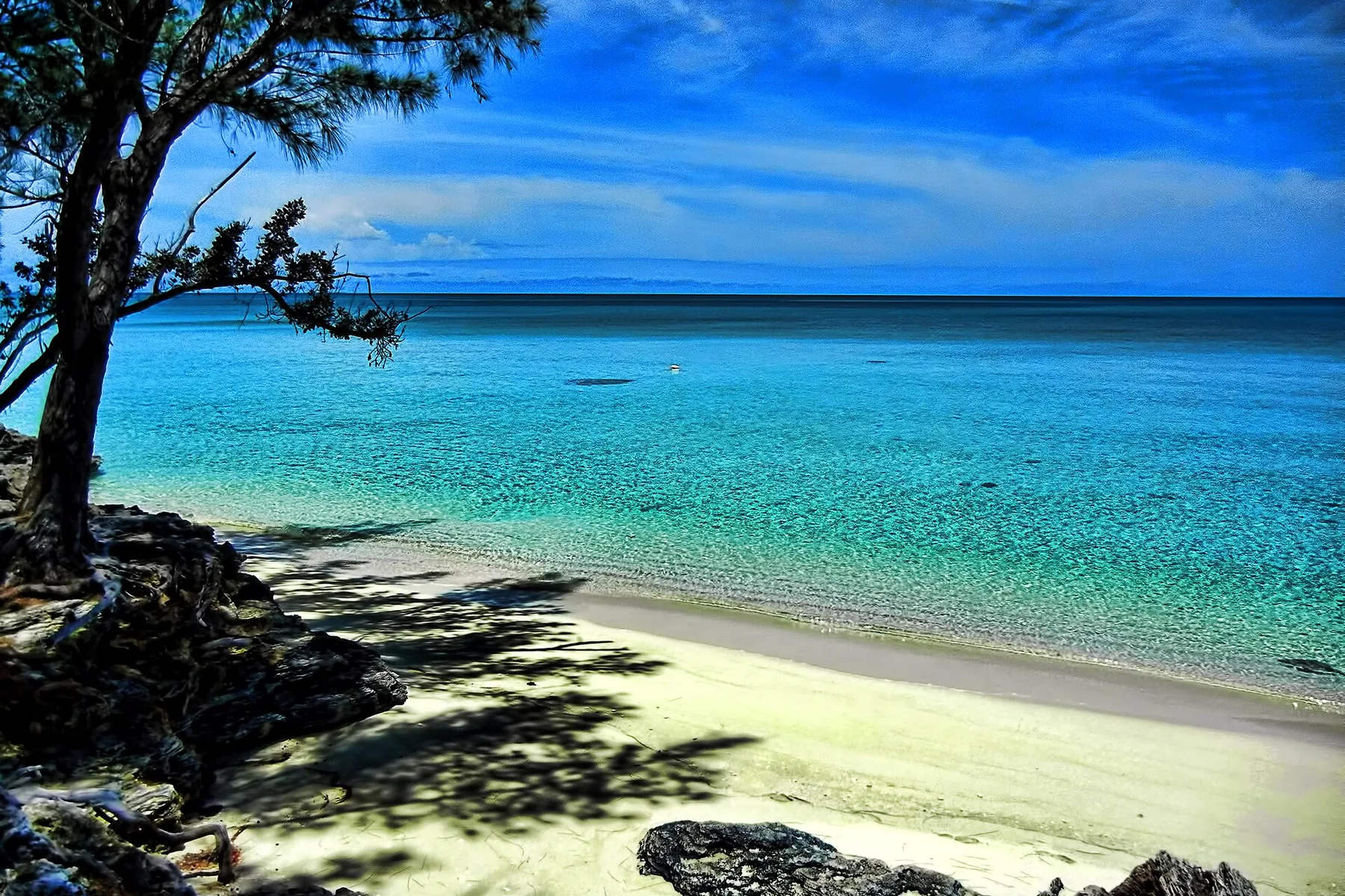 Het strand bij Current op Eleuthera, Bahama’s.