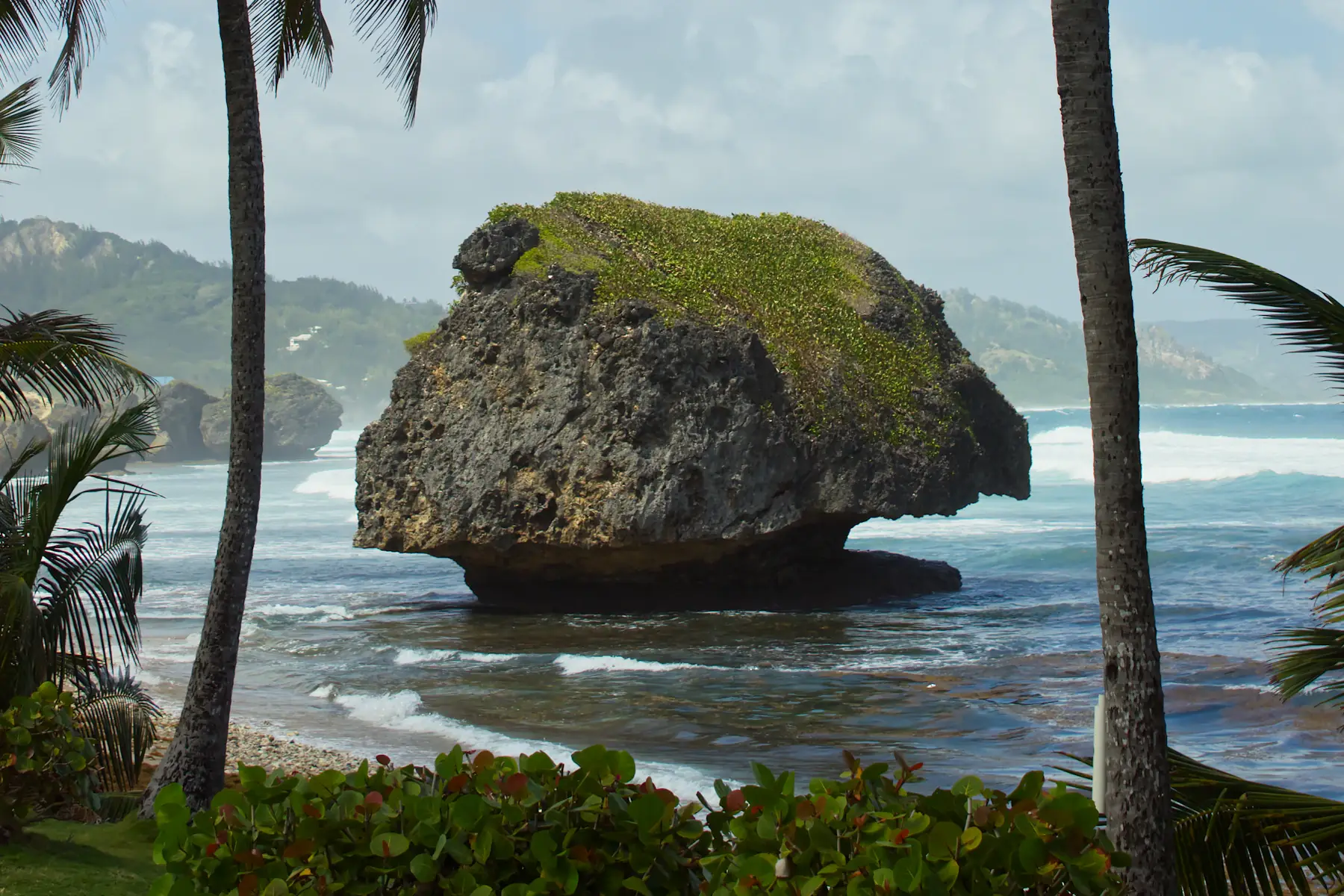 Palmbomen omlijsten de grote rots in zee bij Bathsheba op Barbados