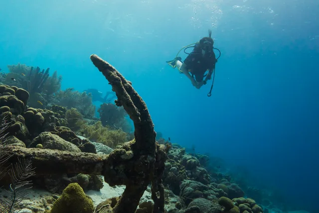 A diver above a reef off Bonaire
