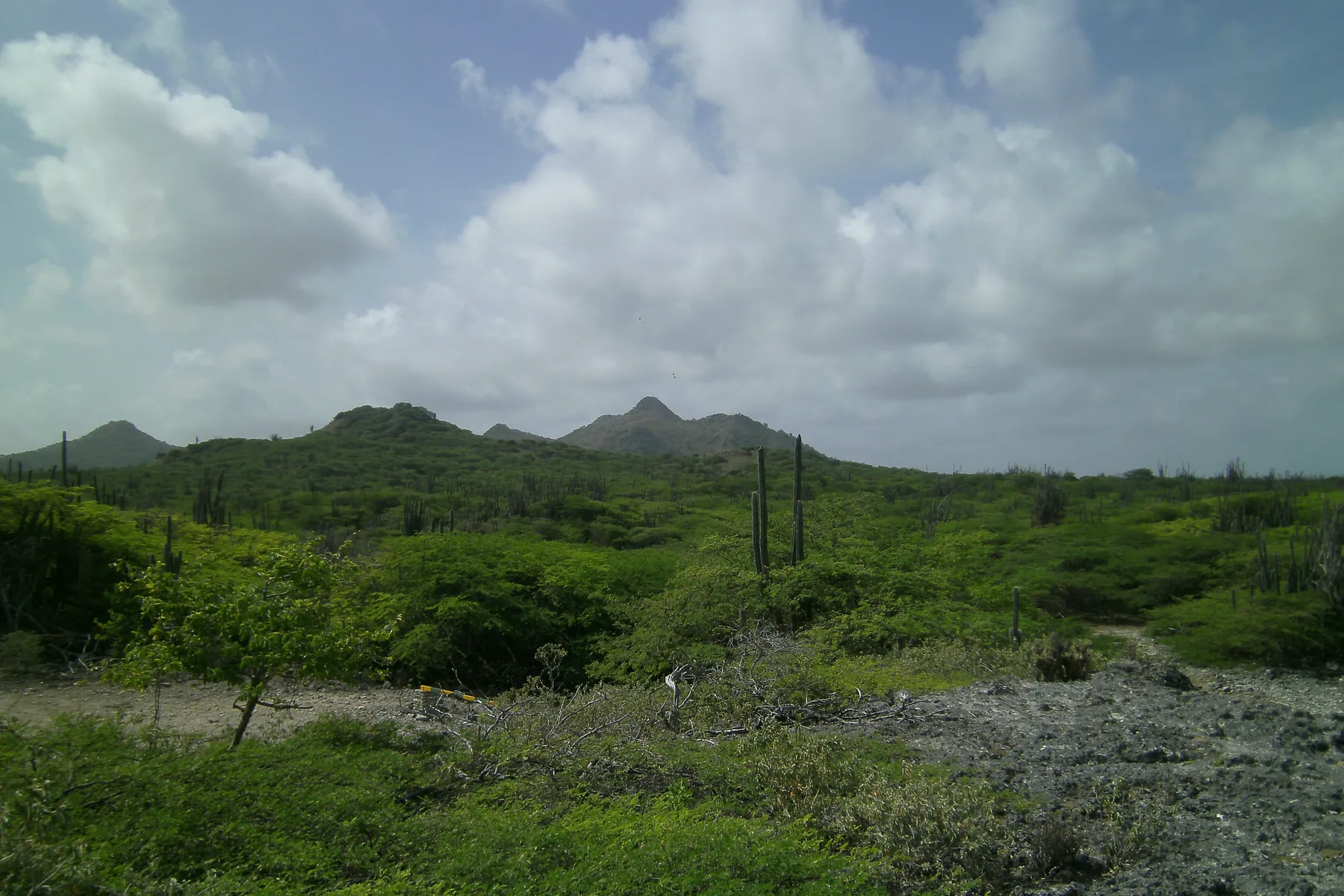 Cactussen en heuvels in Washington Slagbaai National Park op Bonaire.