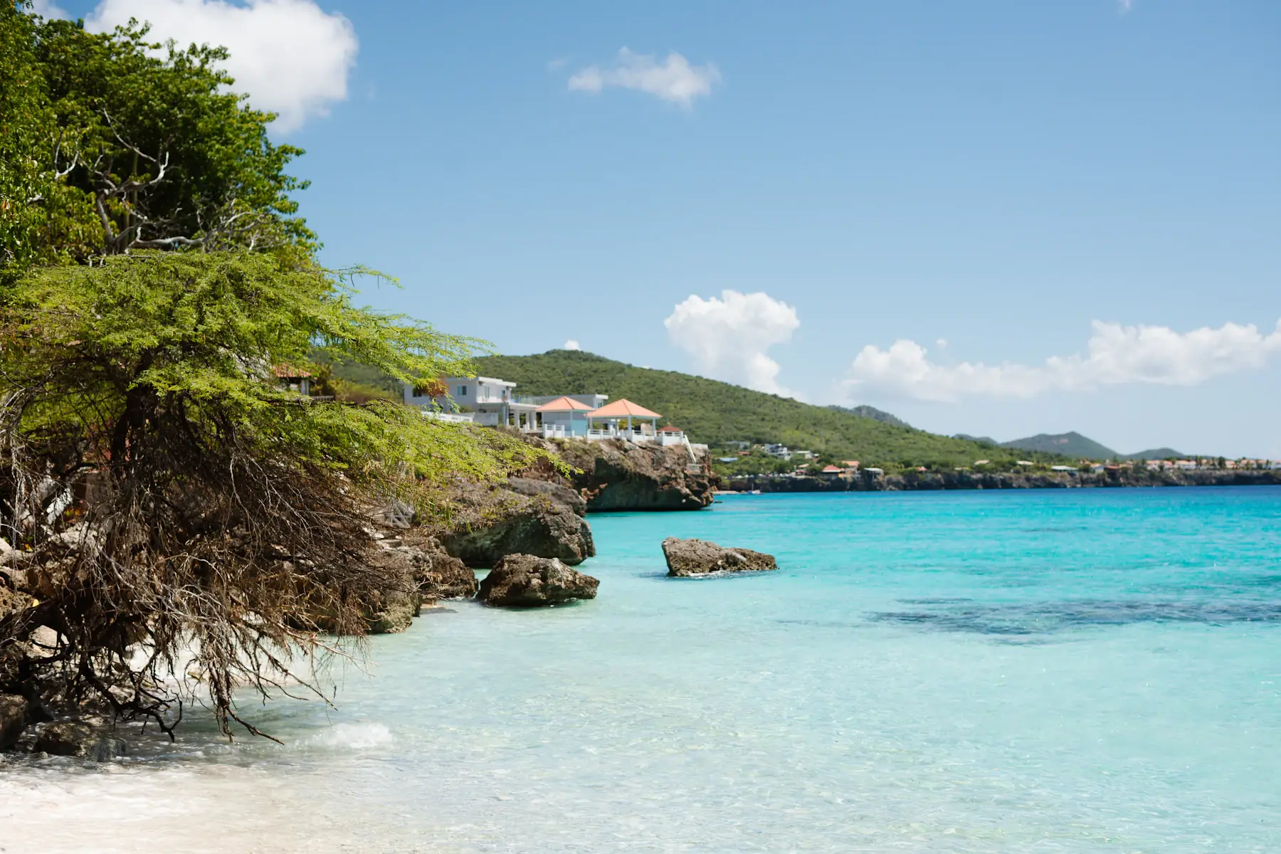 Clear water beside a rocky, tree-lined beach in Curaçao