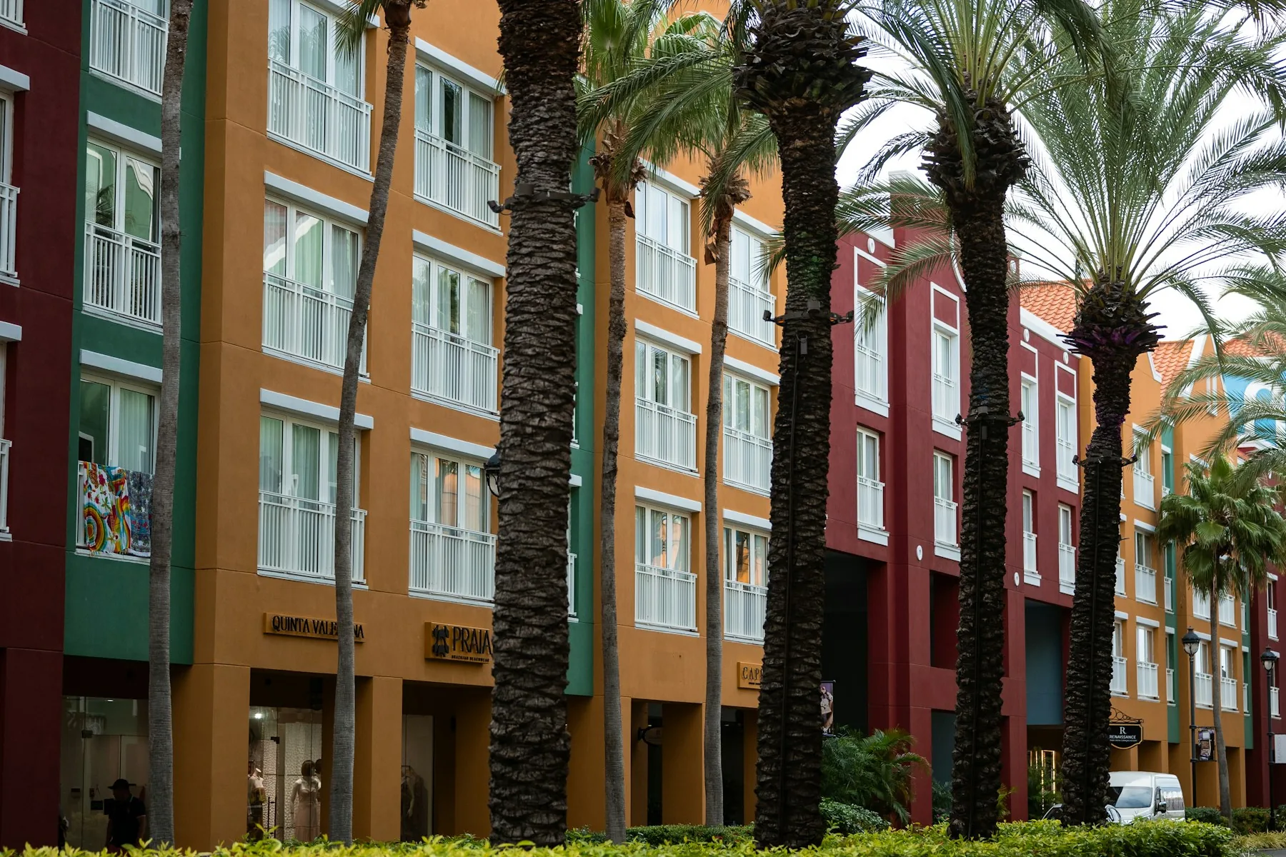 Colourful buildings and palm trees on a street in Curaçao