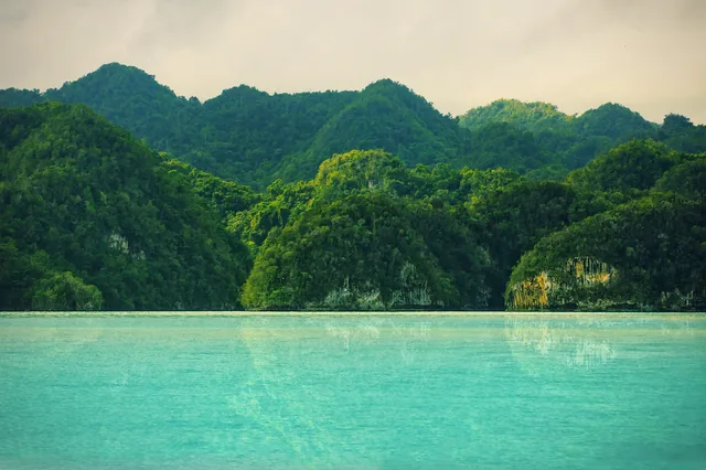 Forested limestone hills beside the water in Los Haitises, Dominican Republic.