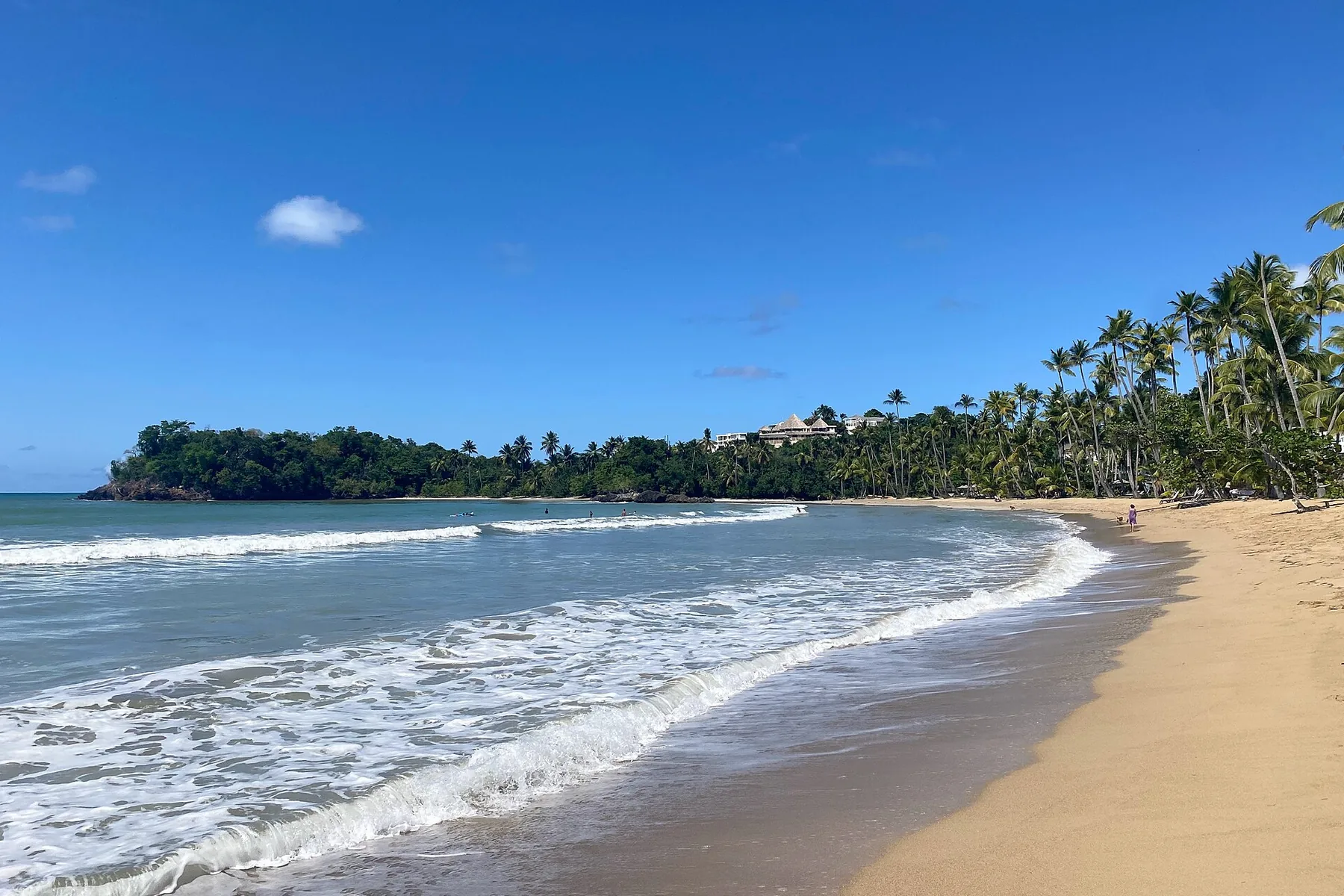 Olanan i palmanan na Playa Bonita, Las Terrenas, Repúblika Dominikana.