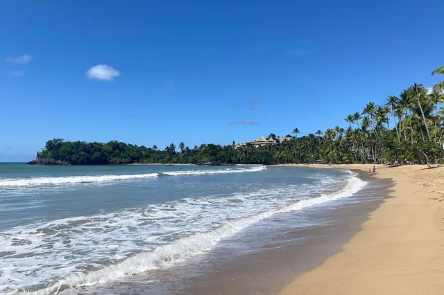 Surf and palm trees at Playa Bonita in Las Terrenas, Dominican Republic.