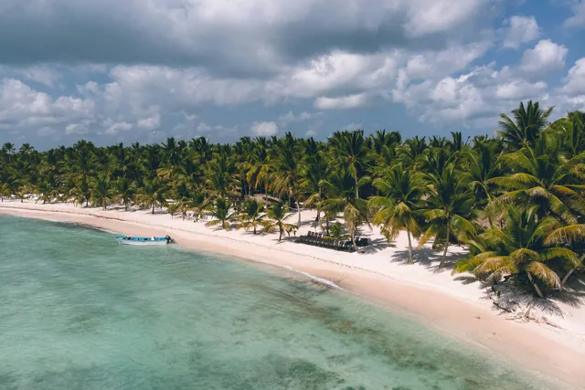 Palm-lined coastline on Saona Island in the Dominican Republic