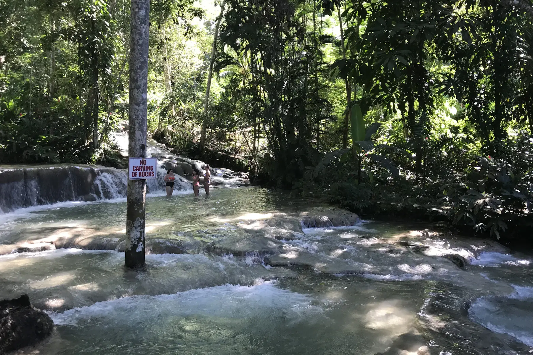 Bezoekers bij Dunn’s River Falls in het groene bos op Jamaica