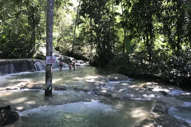 Visitors at Dunn’s River Falls surrounded by green forest in Jamaica
