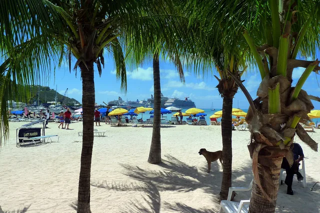 Palm trees and the beach at Great Bay in Philipsburg, Sint Maarten.